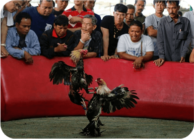 bj66-win-steps-card-img-1